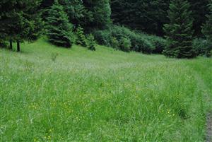 pohľad na monitorovanú TML