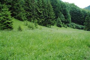 západný okraj monitorovanej TML