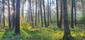 vrchárka modrá (4.5.2026)