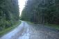 brhlík lesný (obyčajný) (26.5.2026)