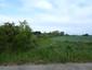 Žlna sivá (15.5.2026)