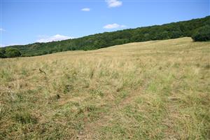 záber na biotop, smer V