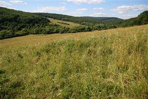 záber na biotop, smer S