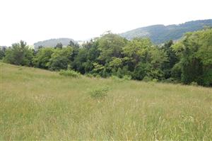 Pohľad na južný okraj TML