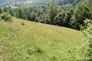 Pohľad na monitorovaciu TML