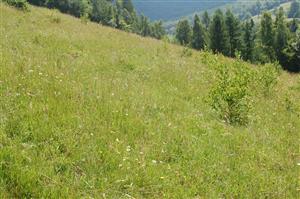 Pohľad na východnú časť TML