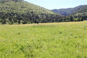 Pohľad na monitorovanú TML