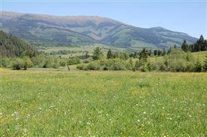 Západná časť TML s pohľadom na Kráľovu Hoľu