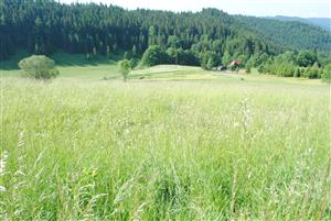 Celkový pohľad na monitorovanú TML 