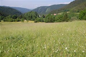 Pohľad na východnú časť TML