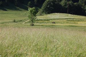Pohľad na ohradník