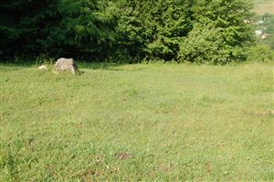 Pohľad na severovýchodnú časť TML 1