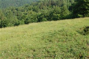 Pohľad na severovýchodnú časť TML 2