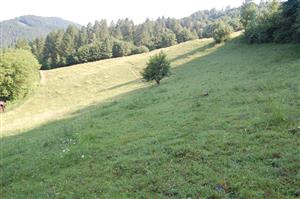 Pohľad na východnú časť TML