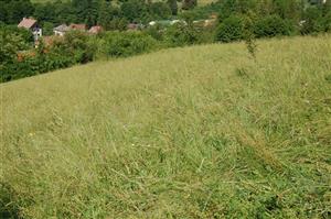 Západná časť TML