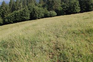 Pohľad z dola na východnú časť TML