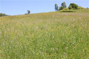 Pohľad na TML od cesty smerom na sever