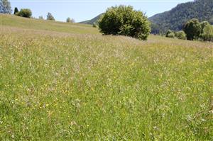 Pohľad na východný okraj TML