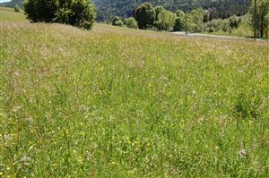 Pohľad na juhovýchodnú časť TML