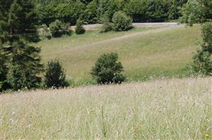 Pohľad na západnú časť lokality