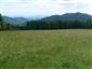Nížinné a podhorské kosné lúky (16.6.2015)