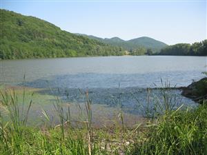 TML Revištský rybník