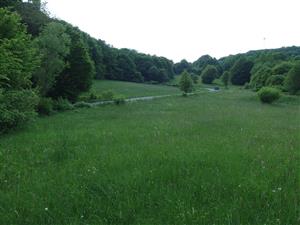 Pohľad na lokalitu (prvá časť)