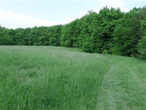 Pohľad na lokalitu (štvrtá časť)