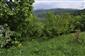 popolavec dlholistý moravský (27.5.2015)