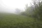 ďateľ bielochrbtý (19.5.2026)