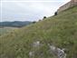 Suchomilné travinnobylinné a krovinové porasty na vápnitom podloží (*dôležité stanovištia Orchideaceae) (27.6.2015)