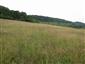 Nížinné a podhorské kosné lúky (28.6.2015)