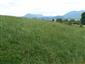 Nížinné a podhorské kosné lúky (16.6.2015)