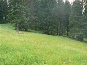 Pohled na cílový biotop a okolní krajinu ve směru S od zadaných souřadnic