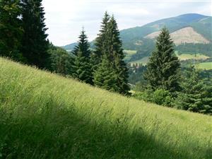 Pohled na cílový biotop a okolní krajinu ve směru JJZ od zadaných souřadnic