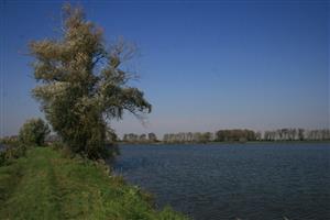 Pohľad na strednú časť TML, sústava 3 rybníkov. Foto: 6.10.2014.Foto: J.Lengyel