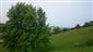 Nížinné a podhorské kosné lúky (15.5.2015)