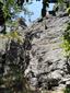 jašterica múrová (5.6.2015)