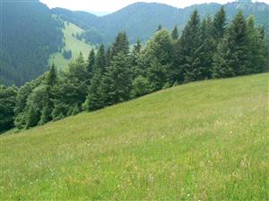 Pohled na cílový biotop a okolní krajinu ve směru J od zadaných souřadnic