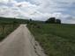 Vrana popolavá (18.5.2026)