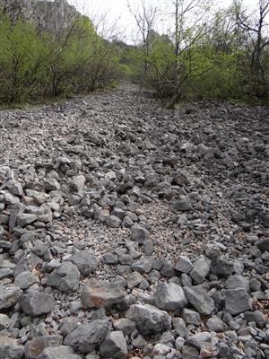 Záber na monitorovaný biotop.