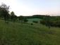 bažant poľovný (14.5.2026)