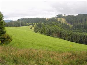 pohlad na vyssie polozenu cast lokality