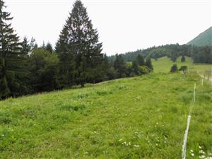 centralna cast hornej casti lokality