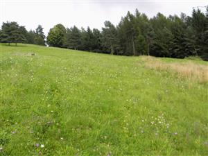 pohlad na luku od obce Sneznica