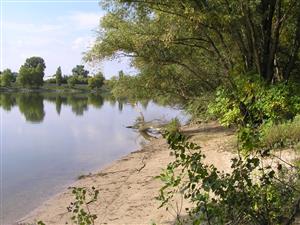 Pohľad na východný breh ústia Váhu do Dunaja, vľavo pohľad na západný breh, ktorý je súčasťou mesta Komárno.Foto: 25.9.2013, J.Lengyel.