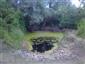 Pohľad na TMP1 v rámci slaniska Akomáň, umelo vybudované jazierko pôvodne určené pre poľovnú zver. Foto:22.6.2015,J.Lengyel.