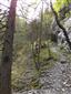 grimaldia trojtyčinková (30.5.2015)
