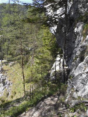 pohľad na loklaitu
