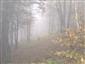 Javorovo-bukové horské lesy (10.10.2013)